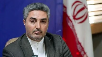 مجلس زیر بار سوءاستفاده خودروسازان نمی‌ رود