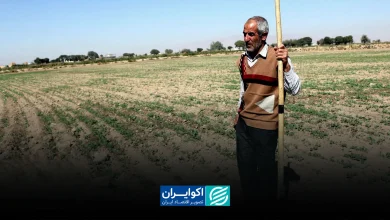 کشاورزی در تله سرمایه و روش‌های سنتی