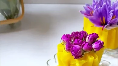 قطع اینترنت صادرات زعفران کشور را نابود کرد