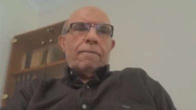 واردات خودرو متوقف شد؟