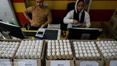 آخرین قیمت مرغ، تخم‌مرغ و ماهی سه‌شنبه ۲ تیر ۱۴۰۵