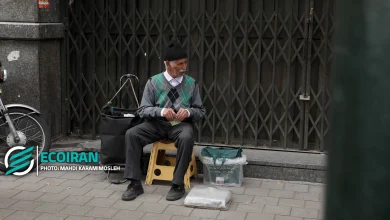 اعتراض به حقوق بازنشستگان کلید خورد؛ جزئیات ثبت درخواست آنلاین اعلام شد