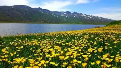 فیلم از طبیعت بکر اردبیل دریاچه نئور