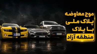 فیلم / موج معاوضه پلاک ملی با پلاک منطقه آزاد / چگونه پلاک منطقه آزاد تهران بگیریم؟