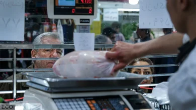 قیمت جدید مرغ در بازار/ مرغ 700هزار تومان شد؟