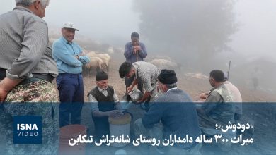 ویدیو/ «دودوش»؛ میراث ۳۰۰ ساله دامداران روستای شانه‌تراش تنکابن
