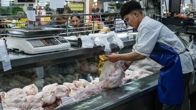 پیش‌بینی شوک جدید در بازار مرغ؛ نرخ‌ها صعودی می‌شود؟