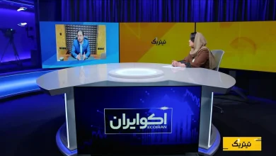 چوب در کانون بحران ساخت‌وساز؛ پشت پرده جهش ۲۰۸ درصدی قیمت‌ها چیست؟