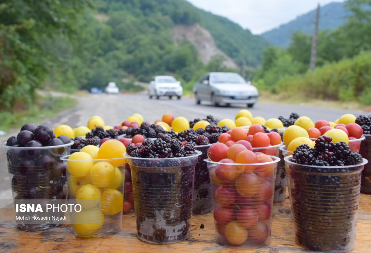 رونق گردنه حیران با فروش بلال، آلوچه و تمشک وحشی/ کام شیرین مسافران با میوه‌های جنگلی