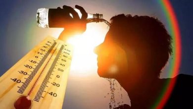 سازمان جهانی بهداشت، افزایش آمادگی اروپا در برابر گرما را خواستار شد