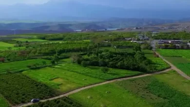 فیلم از دشت زیبای ابراهیم آباد با نمای سد صفائیه رابر کرمان