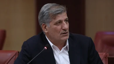 مهرداد گودرزوند چگینی