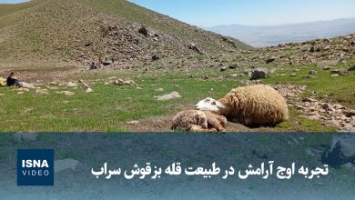 ویدیو/ تجربه اوج آرامش در طبیعت قله بزقوش سراب