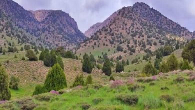«گلیل» نگینی در مرز ایران و ترکمنستان