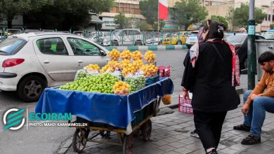 تورم یک عدد ملی نیست