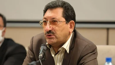 تولید ۲.۳۸ میلیون دستگاه خودرو در دو سال / وزیر صمت از اجرای سند ساماندهی صنعت خودرو خبر داد
