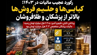 رکورد عجیب مالیات در ۱۴۰۳؛ کبابی‌ ها و حلیم‌ فروش‌ ها بیشتر از طلافروشان و پزشکان مالیات دادند!