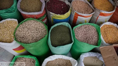 سقوط آزاد قیمت حبوبات در بازار/ قیمت لوبیاچیتی نصف شد/ لوبیاچیتی چند شد؟