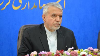صالحی‌ امیری: بروجرد را به مقصد گردشگری فرهنگی و عرفانی تبدیل می‌کنیم