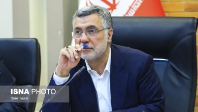 ظفرقندی: کشور بدون انسجام ملی نمی‌تواند از بحران عبور کند