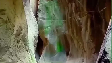 فیلم از زیبایی تنگه بکر ارسباران