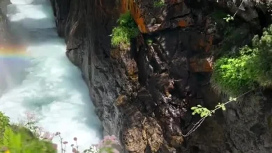 فیلم از پارک ملی پیرنه فرانسه