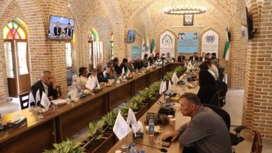 معاون‌ وزیر میراث‌فرهنگی: گردشگری باید جایگاه خود را در نظام تصمیم‌گیری کشور پیدا کند