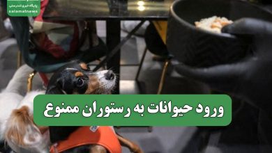 میانگین سن ازدواج به 32 سال رسید