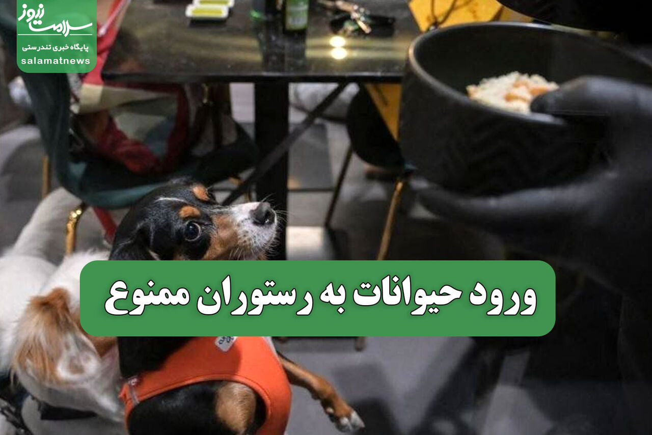 میانگین سن ازدواج به 32 سال رسید