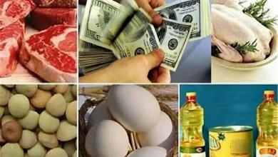 واردات کالاهای اساسی از تمام گمرکات کشور آزاد شد