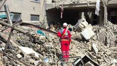 ۱۲ نیروی صلیب سرخ و هلال احمر از ابتدای سال جان باختند/ هشدار درباره عادی‌ شدن حمله به امدادگران
