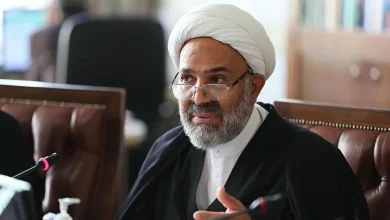 اجازه نمی دهیم خودروسازان قراردادهای یک‌طرفه تحمیل می‌کنند