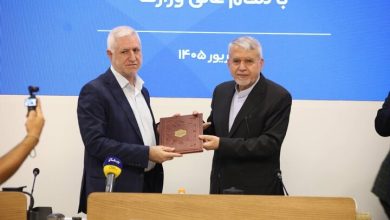 برزین ضرغامی معاون صنایع دستی شد
