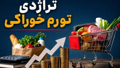 تراژدی تورم خوراکی / سقوط آزاد پروتئین از سفره خانوارها / تورم ۱۲۸ درصدی خوراکیها، زنگ خطر برای سلامت کودکان