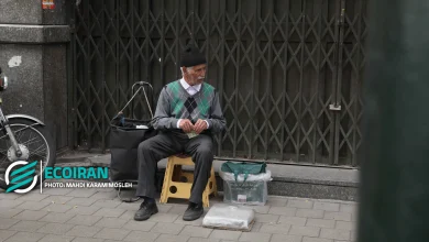 زمان پرداخت معوقات بازنشستگان تأمین اجتماعی ۱۴۰۵؛ واریز معوقات از ۹ شهریور آغاز شد