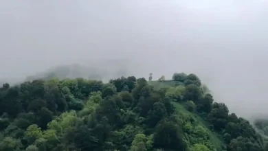 سرچشمه سرسبزترین روستای لاهیجان + فیلم