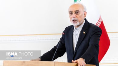 علی‌اکبر صالحی: «الموت» نماد تلاقی جغرافیای اندیشه، مقاومت و فرهنگ است