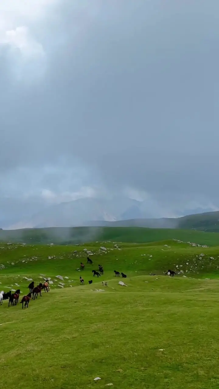 فیلم زیبا و خیره‌ کننده قزاقستان