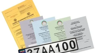 پلاک بین المللی