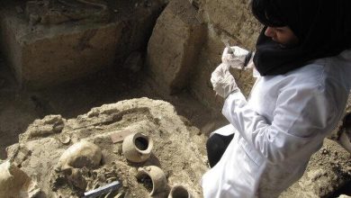 از یک رشته جذاب تا تصور گنج‌یابی