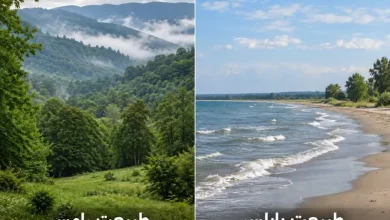 طبیعت بابلسر یا رامسر