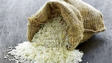 برنج پاکستانی و هندی گران شدند؛ قیمت جدید اعلام شد