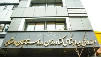 بیمه رایگان برای این گروه از مادران در راه است