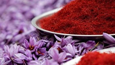 ثبت جشنواره روز ملی زعفران در تقویم رویدادهای گردشگری کشور