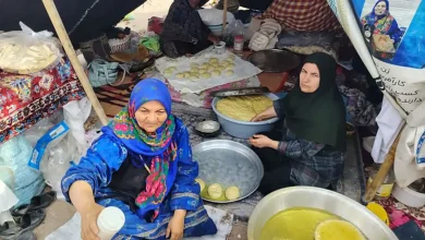 جشنواره از خوشه تا تنور همزمان با همایش ملی کویرنوردی شهرستان بشرویه برگزار شد
