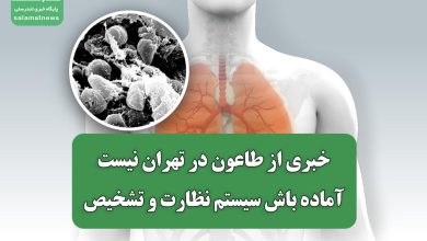 خبری از طاعون در تهران نیست/ آماده باش سیستم نظارت و تشخیص