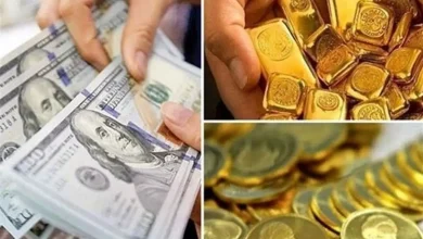 دلار و تتر عقب نشستند؛ آیا ریزش قیمت‌ها در بازار ادامه دارد؟