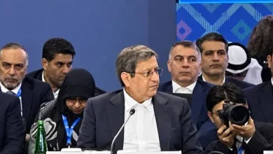 ذخایر ارزی ایران تا پایان ریاست‌جمهوری ترامپ کفایت می‌کند