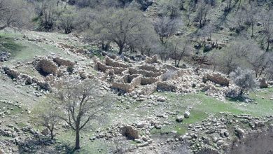 شناسایی روستای صفوی و متروک در جنگل‌های استان فارس