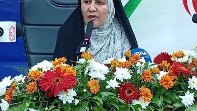 فرماندار: جیرفت «شهر مجیدزاده» و شناسنامه فرهنگی تمدن منطقه است